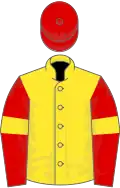 Yellow, red sleeves, yellow armlets, red cap