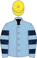 Light blue, dark blue hooped sleeves, yellow cap