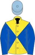 Yellow and royal blue diabolo, royal blue sleeves, light blue cap