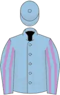 Light blue, mauve striped sleeves