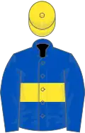 Royal blue, yellow hoop and cap