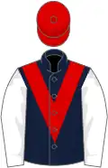 Dark blue, red chevron and cap, white sleeves
