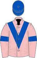 Pink, royal blue chevron, armlets and cap