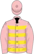 Pink, yellow hoops on body