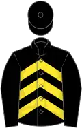 Black, Yellow chevrons, Black sleeves and cap