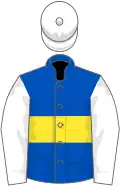 Royal blue, yellow hoop, white sleeves and cap