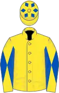 Yellow, Yellow and Royal Blue diabolo on sleeves, diamonds on cap