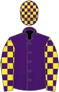 Purple, yellow and purple check sleeves, purple and yellow check cap