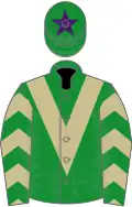 Green, beige chevron, chevrons on sleeves, purple star on cap