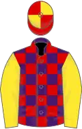 Purple and red check, yellow sleeves, red and yellow quartered cap