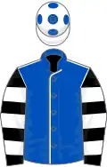 Royal Blue, White seams, Black and White hooped sleeves, White cap, Royal Blue spots