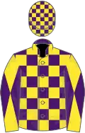 Purple and yellow check, yellow and purple diabolo on sleeves