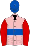 Pink, royal blue hoop, red sleeves, royal blue cap