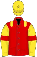 Red, yellow epaulets, yellow sleeves, red armlets, yellow cap