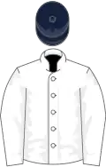 White, white sleeves, dark blue cap