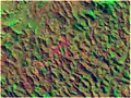 Satellite photo, 1993-06-24, strongly contrasting dense wood covering (green), grass (brown), buildings (purple) and naked land areas (orange)