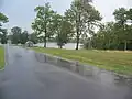 Park scene