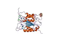 1rwp: Crystal structure of human caspase-1 in complex with 3-{6-[(8-hydroxy-quinoline-2-carbonyl)-amino]-2-thiophen-2-yl-hexanoylamino}-4-oxo-butyric acid
