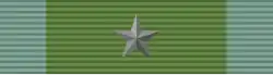 Deputy platoon leader