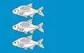 Flag of Giżycko