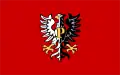 Flag of Dziewanowo