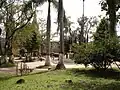 Park