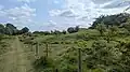 Roach Lime Hills SSSI