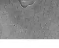 Patterned ground in the form of polygonal features is associated with ground ice. It is rare to be found this far south (45 degrees north latitude). Picture taken by Mars Global Surveyor.