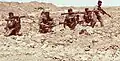A number of the Iran Army Navy commandos during the Iran-Iraq war
