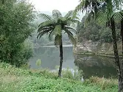 Upriver near Jerusalem (Hiruhārama)