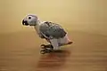 Approximately 5 to 6 week-old chick