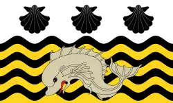 Flag of Poole