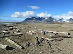 Poolepynten