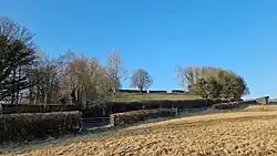 Portfield hillfort