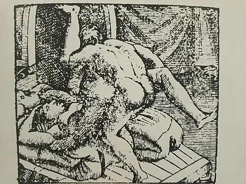 The eighth woodcut copy image of I modi.[11][1] A figure in this image has been copied in the maiolica dish titled The Tiber in Flood.[11]