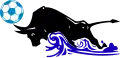 Qingdao Manatee logo used between 1995 and 2004