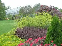 The Conservatory