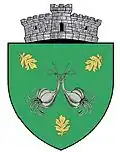 Coat of arms of Copălău