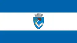Flag of Târgu Mureș
