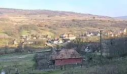 Morău