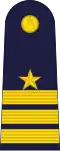 Wing Commander