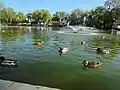 Duck pond at the rancho.