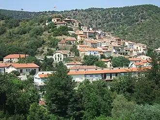 A general view of Ria-Sirach