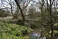 Rodbed Wood