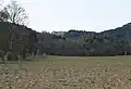 View of the ruin from the Großau – Schwarzensee road