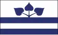 Flag of Rychvald