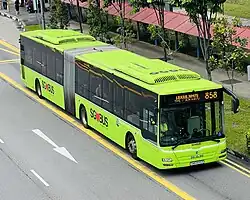 Image 218A bendy bus operated by Tower Transit Singapore (from Articulated bus)