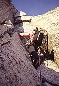The upper dihedrals, around pitch 12.