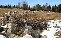 Anti-tank obstacles in the village Aholanvaara, Salla