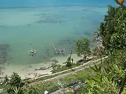 The coastline